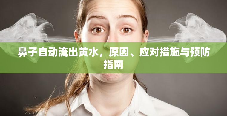 鼻子自動(dòng)流出黃水，原因、應(yīng)對措施與預(yù)防指南