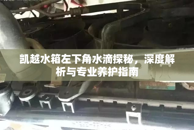 凱越水箱左下角水滴探秘，深度解析與專業(yè)養(yǎng)護(hù)指南