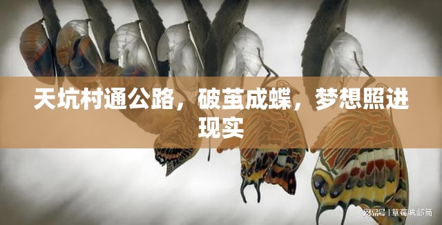 天坑村通公路，破繭成蝶，夢想照進現實