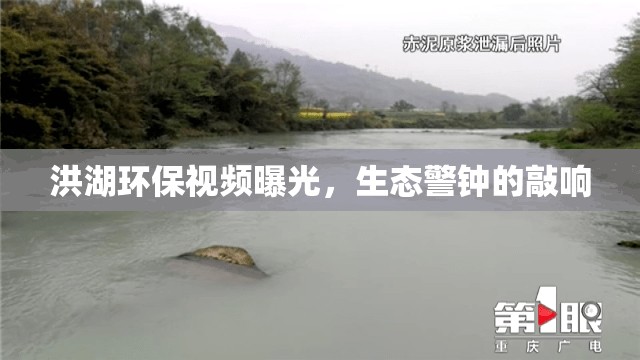 洪湖環(huán)保視頻曝光，生態(tài)警鐘的敲響