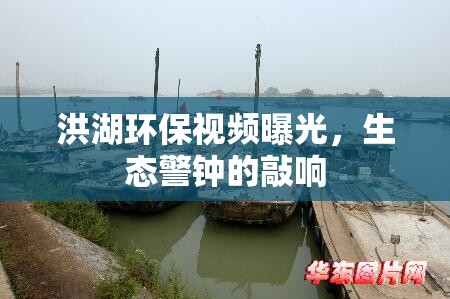 洪湖環(huán)保視頻曝光，生態(tài)警鐘的敲響