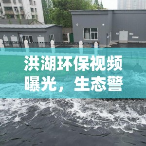 洪湖環(huán)保視頻曝光，生態(tài)警鐘的敲響
