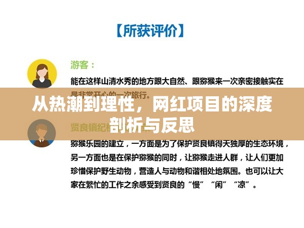 從熱潮到理性，網(wǎng)紅項(xiàng)目的深度剖析與反思