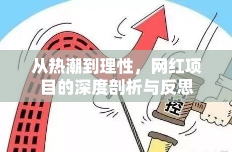 從熱潮到理性，網(wǎng)紅項(xiàng)目的深度剖析與反思