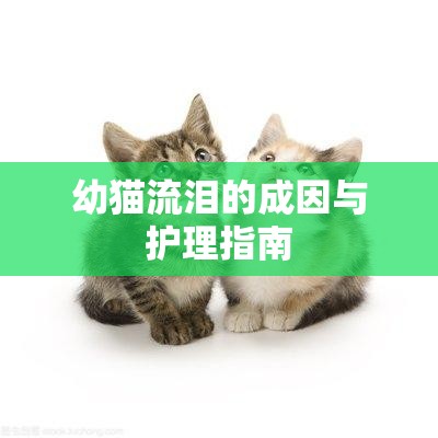 幼貓流淚的成因與護(hù)理指南