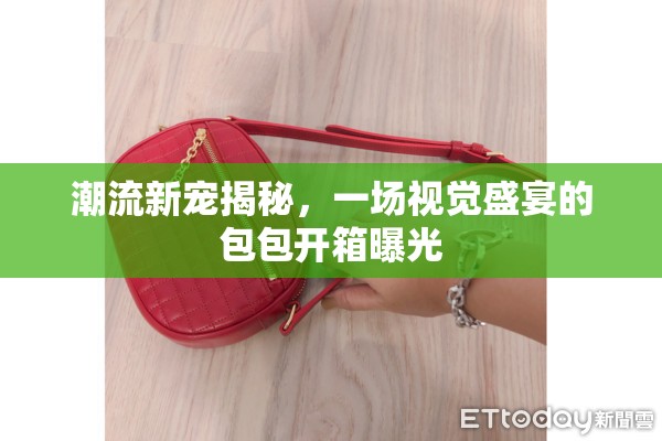 潮流新寵揭秘，一場視覺盛宴的包包開箱曝光