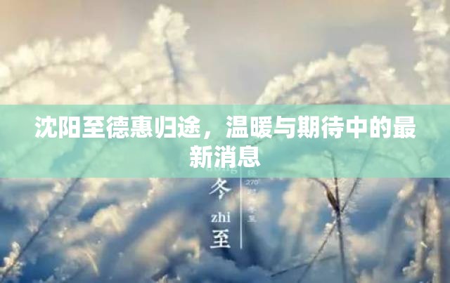 沈陽(yáng)至德惠歸途，溫暖與期待中的最新消息