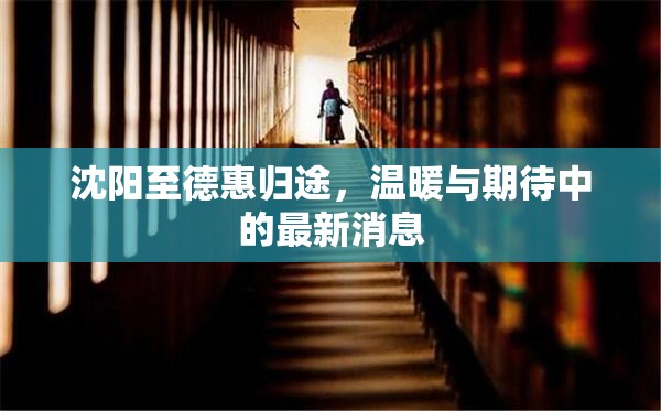 沈陽(yáng)至德惠歸途，溫暖與期待中的最新消息
