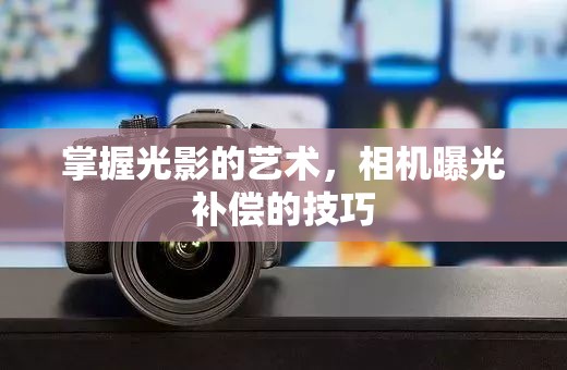 掌握光影的藝術(shù)，相機曝光補償?shù)募记? title=