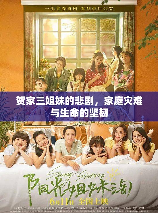 賀家三姐妹的悲劇，家庭災(zāi)難與生命的堅(jiān)韌