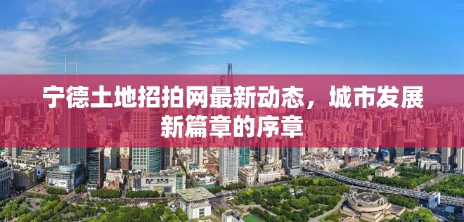 寧德土地招拍網(wǎng)最新動態(tài)，城市發(fā)展新篇章的序章