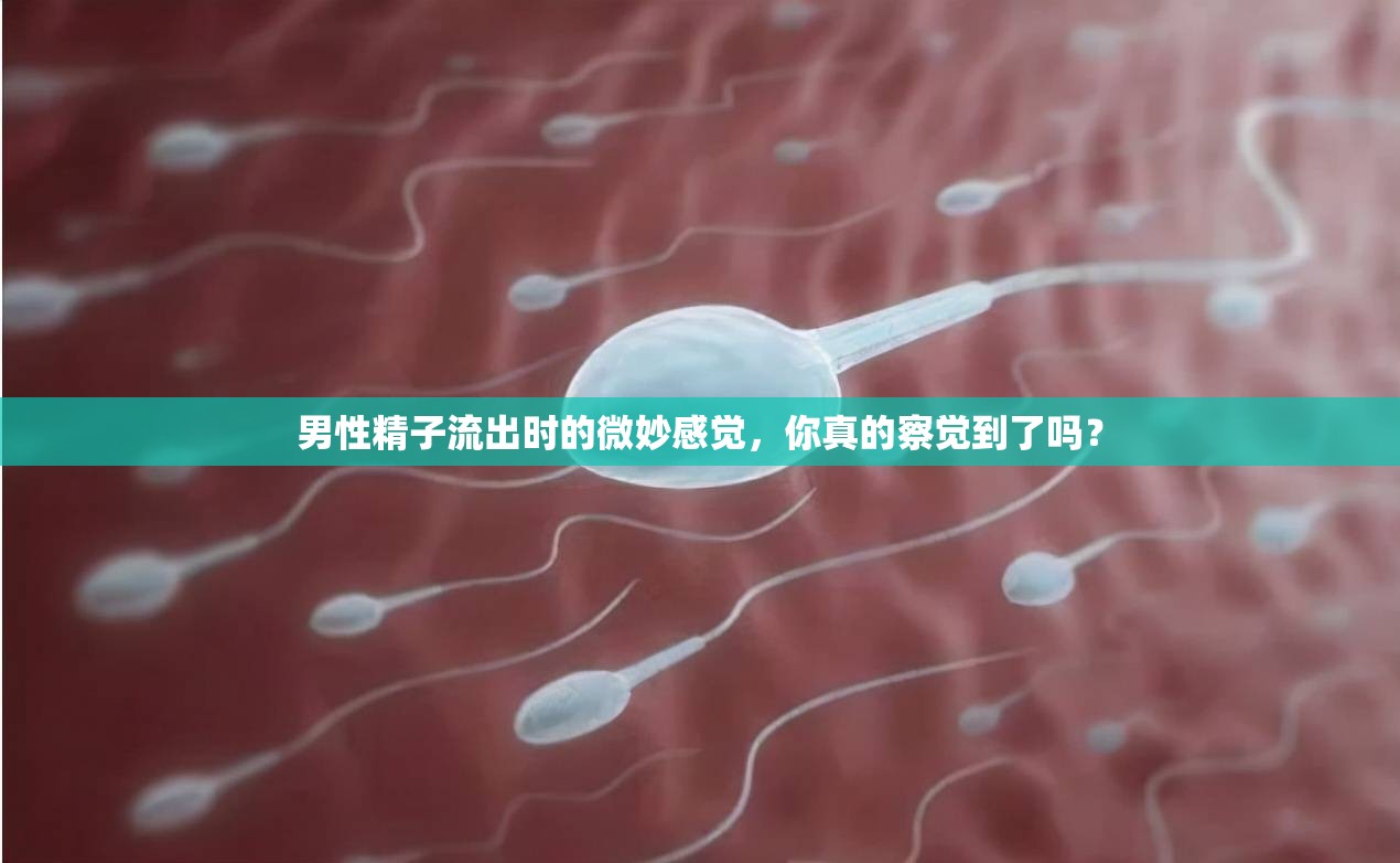 男性精子流出時的微妙感覺，你真的察覺到了嗎？