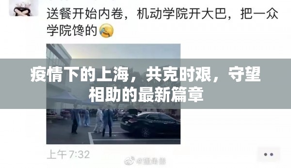 疫情下的上海，共克時艱，守望相助的最新篇章