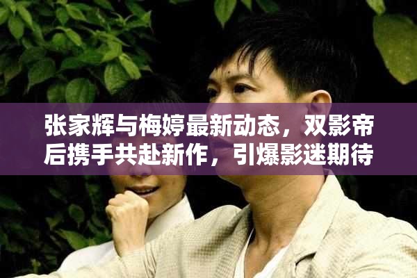 張家輝與梅婷最新動態(tài)，雙影帝后攜手共赴新作，引爆影迷期待
