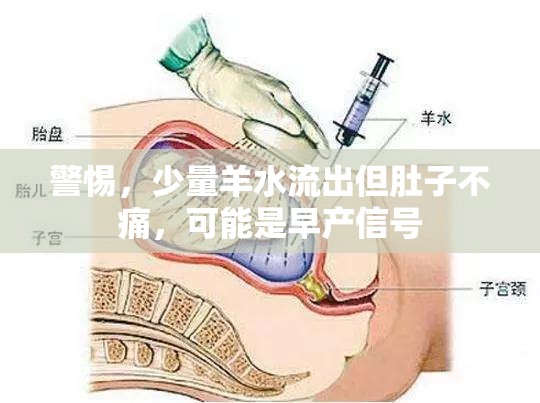 警惕，少量羊水流出但肚子不痛，可能是早產(chǎn)信號