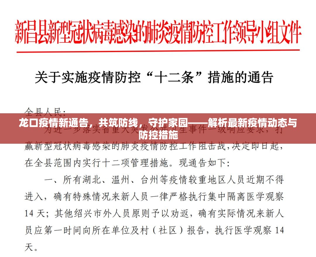 龍口疫情新通告，共筑防線，守護家園——解析最新疫情動態(tài)與防控措施