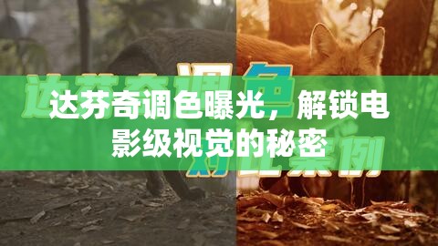 達(dá)芬奇調(diào)色曝光，解鎖電影級(jí)視覺(jué)的秘密