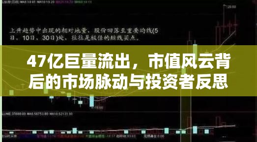 47億巨量流出，市值風(fēng)云背后的市場脈動與投資者反思