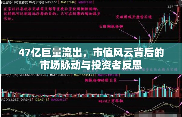 47億巨量流出，市值風(fēng)云背后的市場脈動與投資者反思