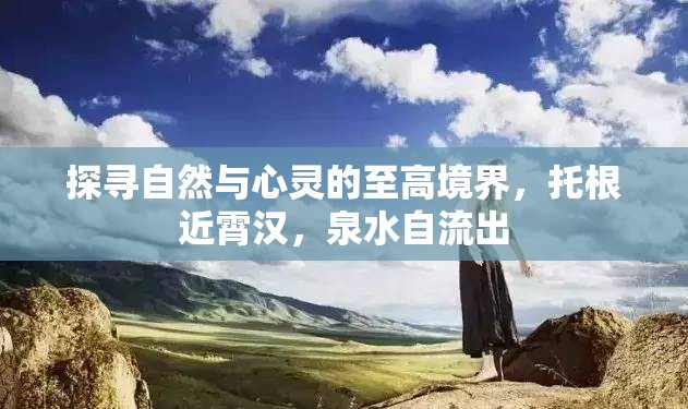 探尋自然與心靈的至高境界，托根近霄漢，泉水自流出