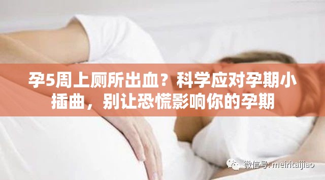 孕5周上廁所出血？科學(xué)應(yīng)對孕期小插曲，別讓恐慌影響你的孕期