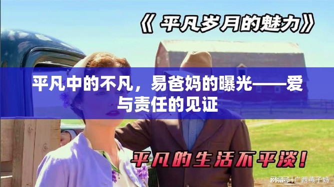 平凡中的不凡，易爸媽的曝光——愛(ài)與責(zé)任的見(jiàn)證