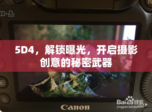 5D4，解鎖曝光，開(kāi)啟攝影創(chuàng)意的秘密武器