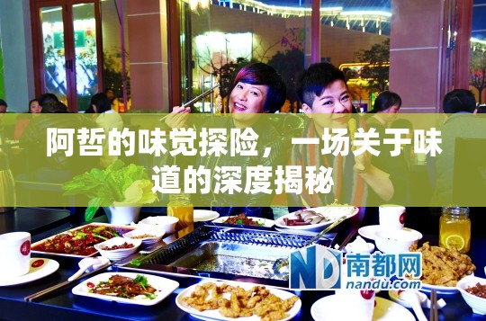 阿哲的味覺探險，一場關(guān)于味道的深度揭秘