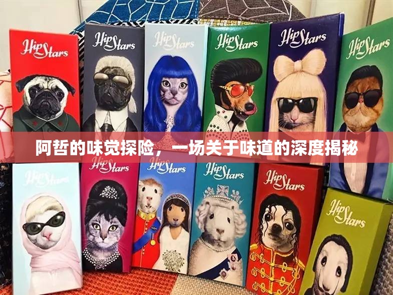 阿哲的味覺探險，一場關(guān)于味道的深度揭秘