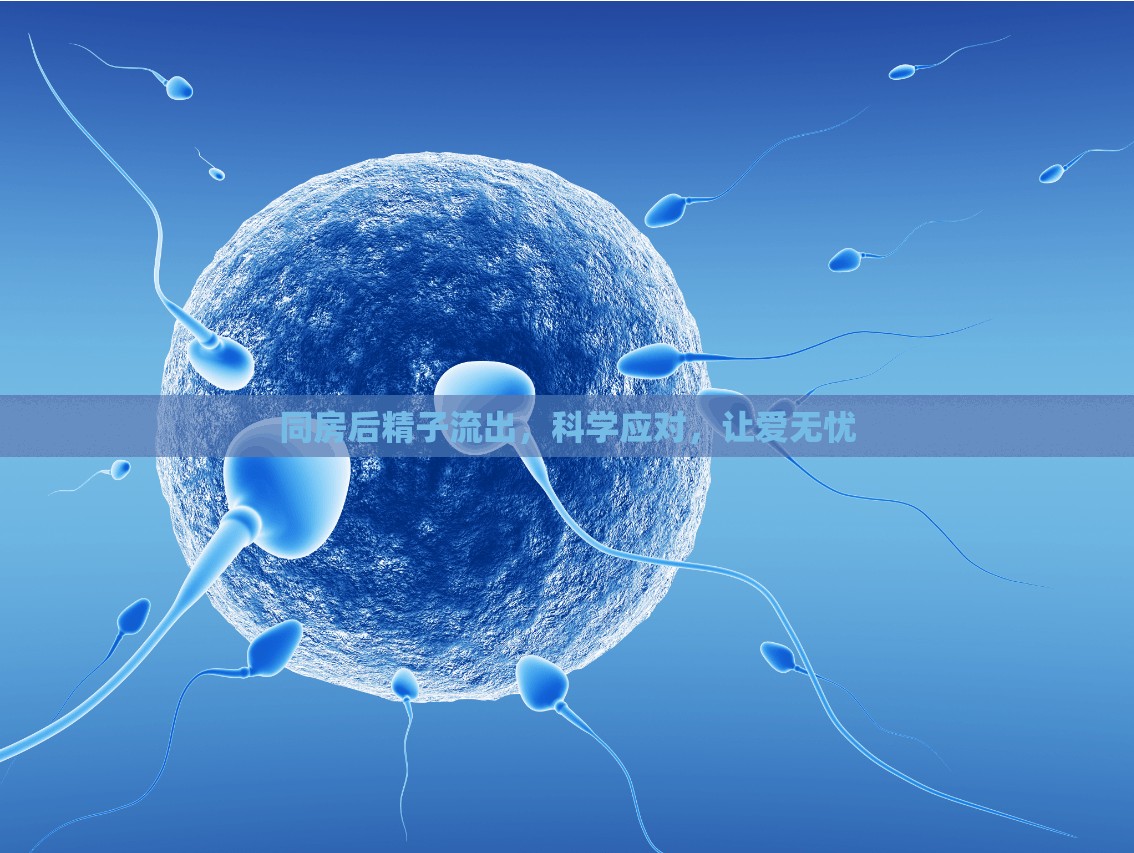 同房后精子流出，科學(xué)應(yīng)對(duì)，讓愛(ài)無(wú)憂
