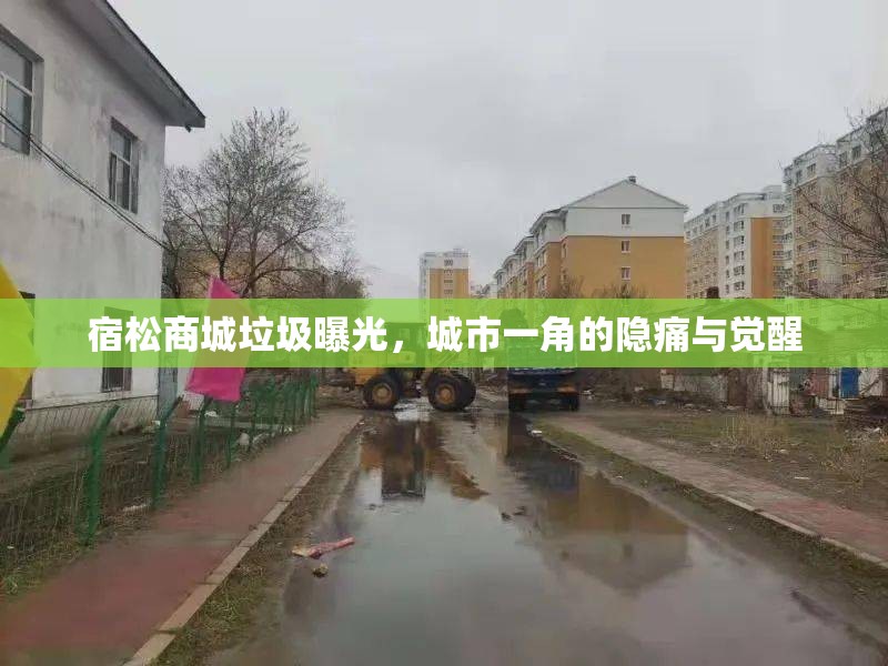 宿松商城垃圾曝光，城市一角的隱痛與覺醒