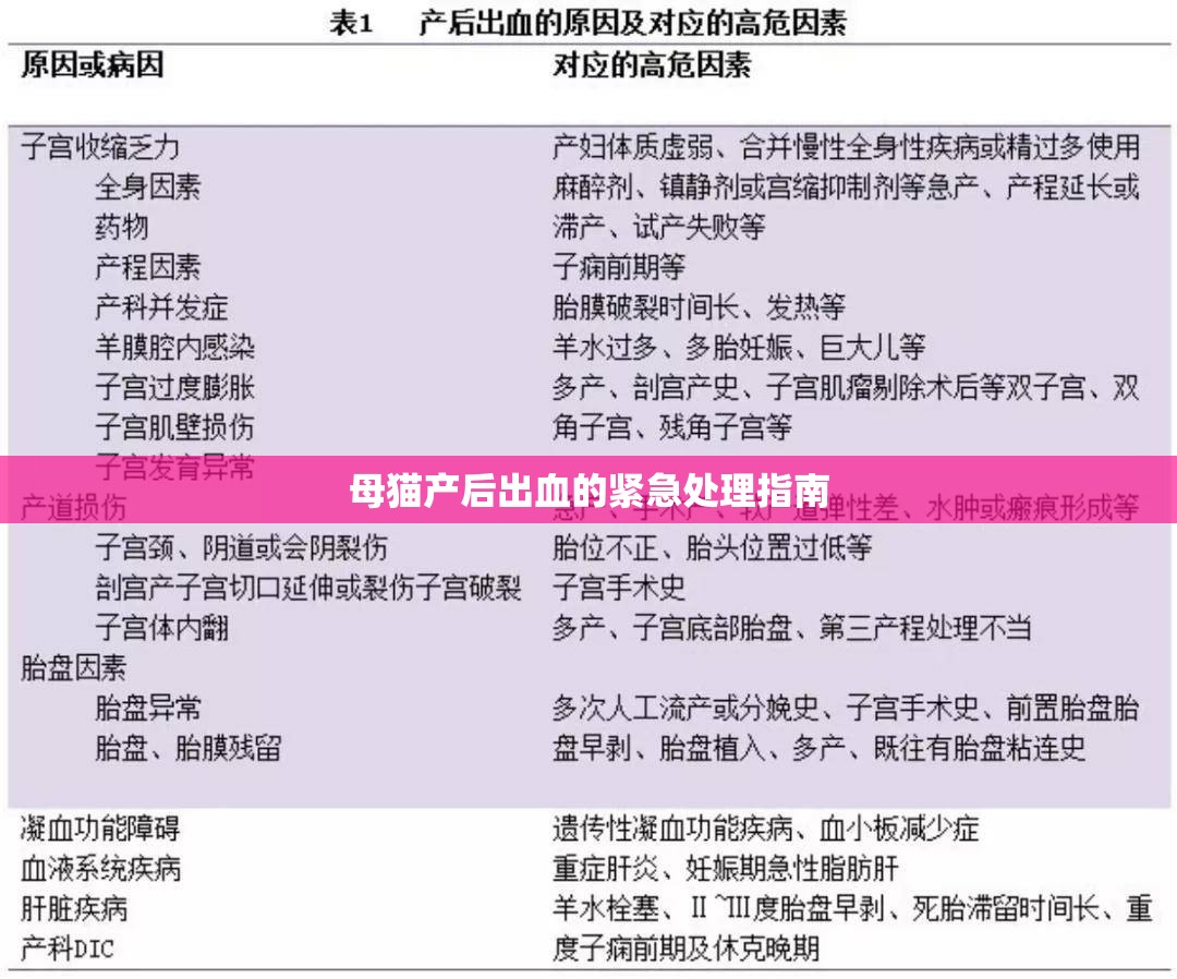 母貓產(chǎn)后出血的緊急處理指南