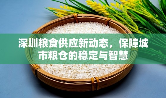 深圳糧食供應(yīng)新動(dòng)態(tài)，保障城市糧倉的穩(wěn)定與智慧