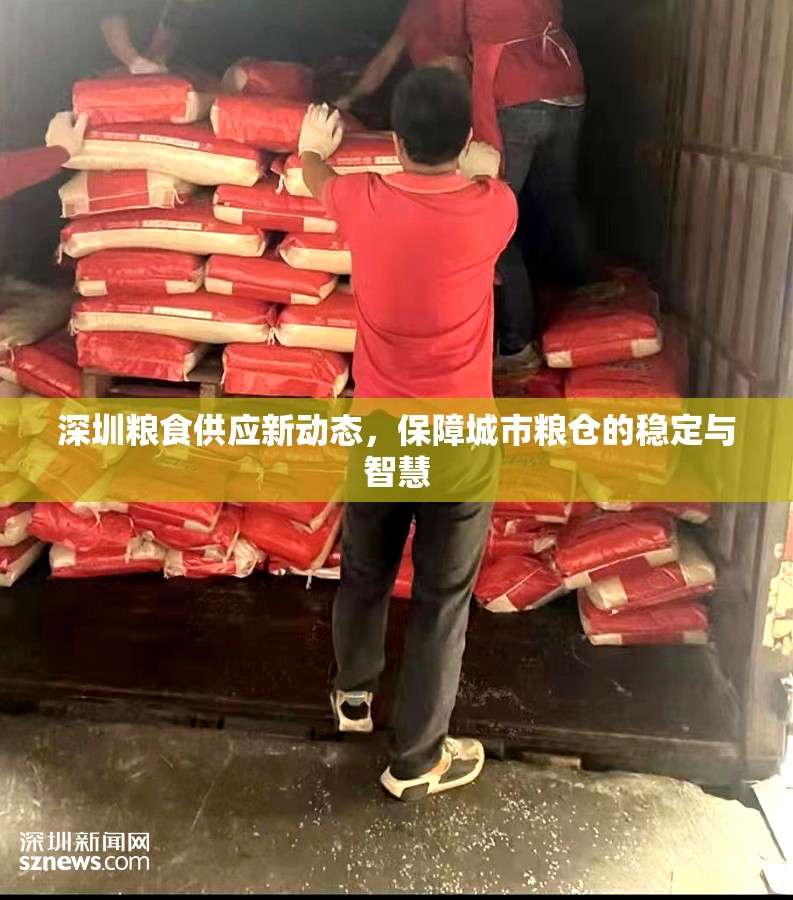 深圳糧食供應(yīng)新動(dòng)態(tài)，保障城市糧倉的穩(wěn)定與智慧