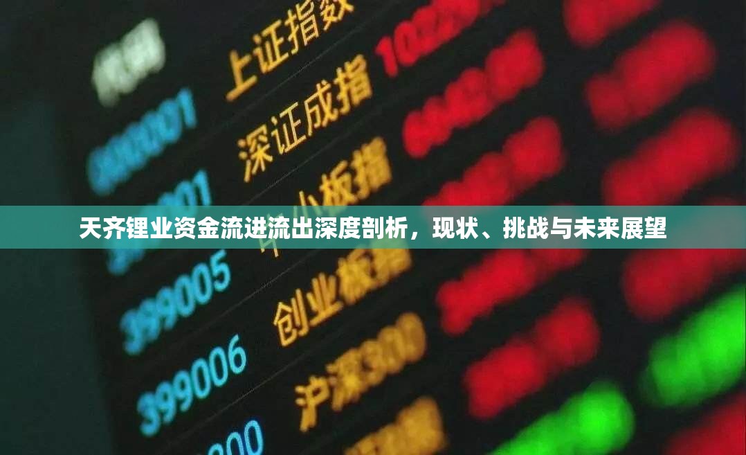 天齊鋰業(yè)資金流進流出深度剖析，現(xiàn)狀、挑戰(zhàn)與未來展望
