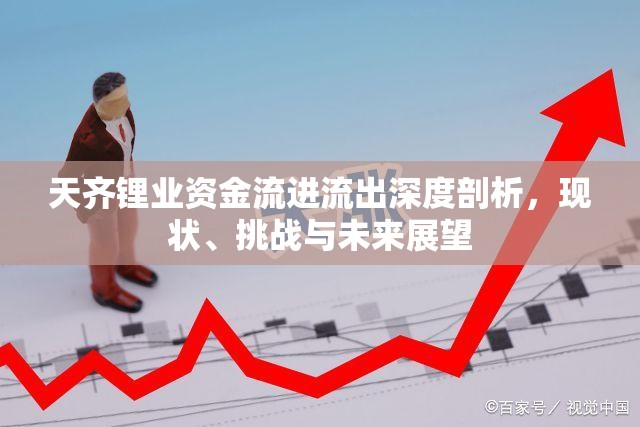 天齊鋰業(yè)資金流進流出深度剖析，現(xiàn)狀、挑戰(zhàn)與未來展望