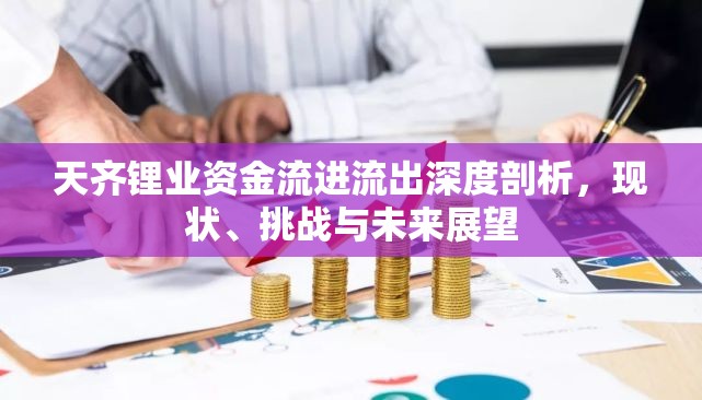 天齊鋰業(yè)資金流進流出深度剖析，現(xiàn)狀、挑戰(zhàn)與未來展望