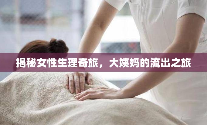 揭秘女性生理奇旅，大姨媽的流出之旅