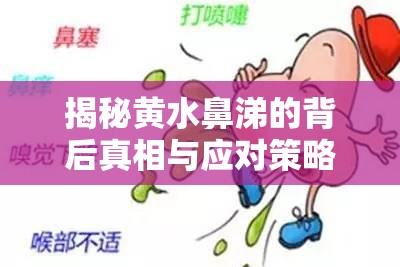 揭秘黃水鼻涕的背后真相與應(yīng)對(duì)策略