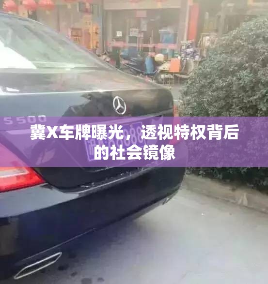 冀X車牌曝光，透視特權(quán)背后的社會(huì)鏡像