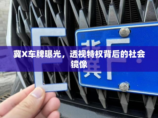 冀X車牌曝光，透視特權(quán)背后的社會(huì)鏡像