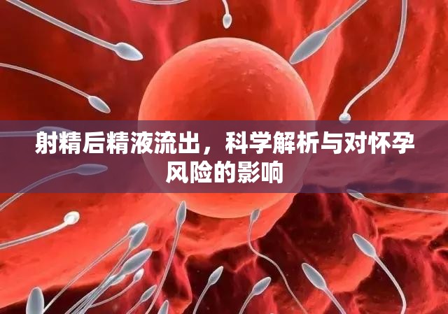 射精后精液流出，科學(xué)解析與對(duì)懷孕風(fēng)險(xiǎn)的影響