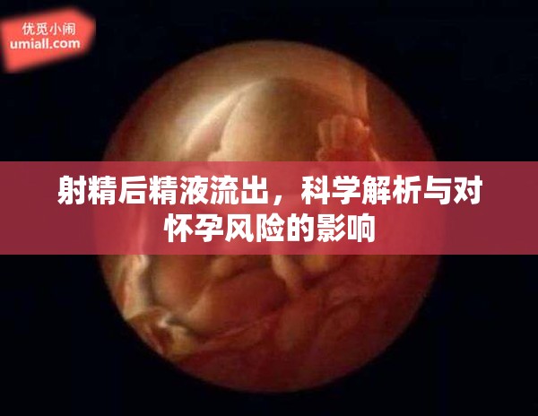 射精后精液流出，科學(xué)解析與對(duì)懷孕風(fēng)險(xiǎn)的影響