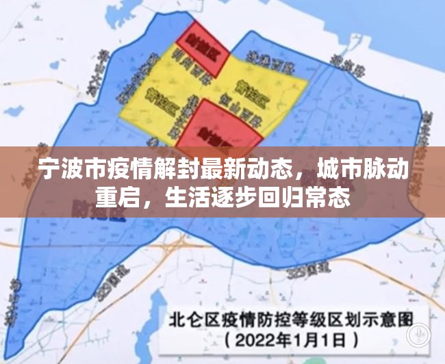 寧波市疫情解封最新動態(tài)，城市脈動重啟，生活逐步回歸常態(tài)