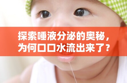 探索唾液分泌的奧秘，為何口口水流出來(lái)了？