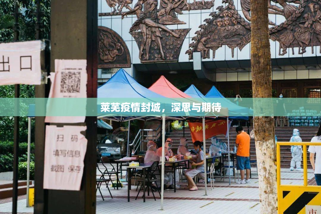 萊蕪疫情封城，深思與期待
