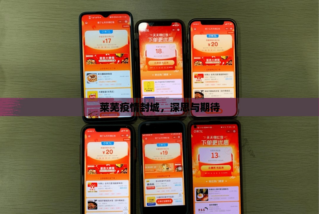 萊蕪疫情封城，深思與期待