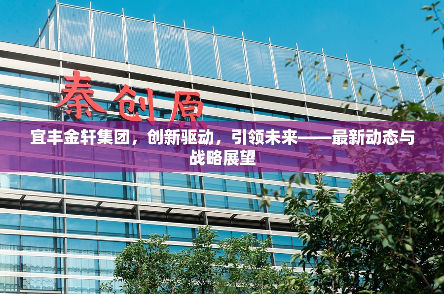 宜豐金軒集團(tuán)，創(chuàng)新驅(qū)動(dòng)，引領(lǐng)未來(lái)——最新動(dòng)態(tài)與戰(zhàn)略展望