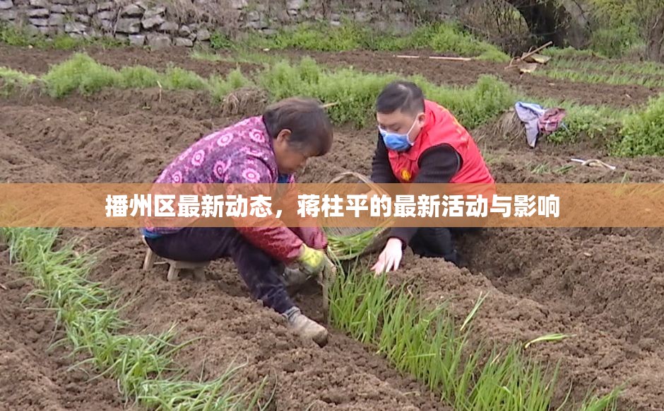 播州區(qū)最新動態(tài)，蔣柱平的最新活動與影響