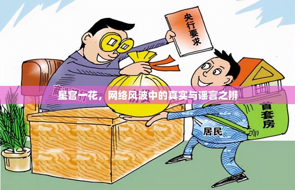 星宮一花，網(wǎng)絡(luò)風(fēng)波中的真實與謠言之辨